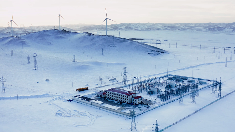 20240125 塔林花05 20240125 塔林花05